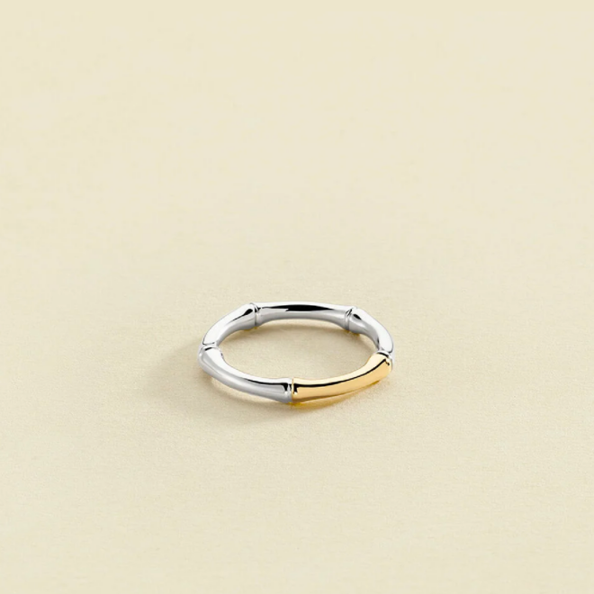 Agatha Paris - Anillo fino Bamboo - Plateado y Dorado